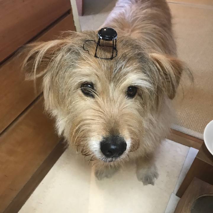 4b830051 2182 4287 ac81 923f2702eb64 1590184307884