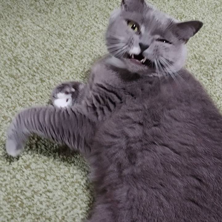 4b834fbf 508a 4ce6 8997 143828a2c8a5 1738587211512