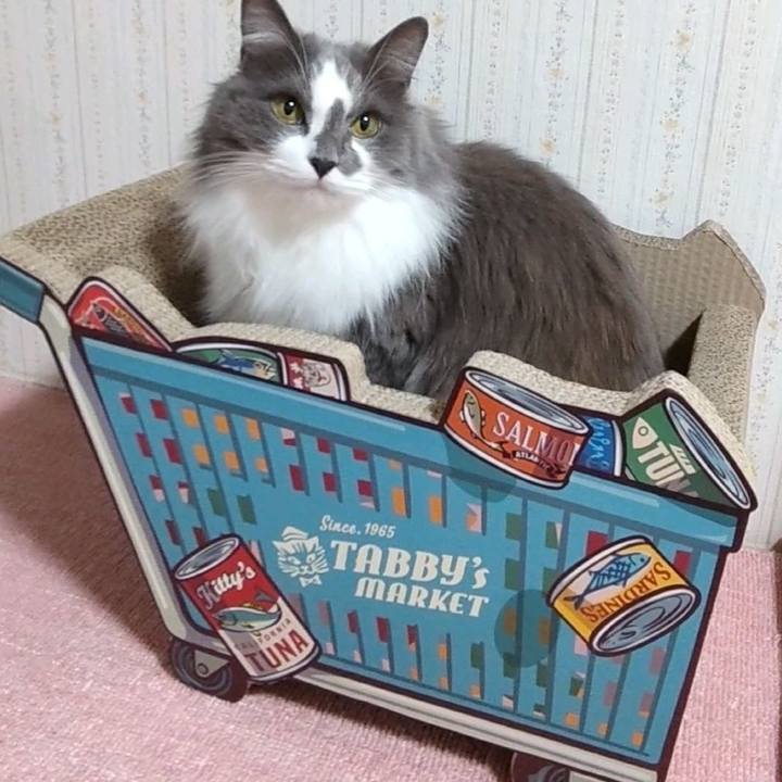 4b83703a adcf 4505 8fe7 4adb75f2ed49 1642507438699