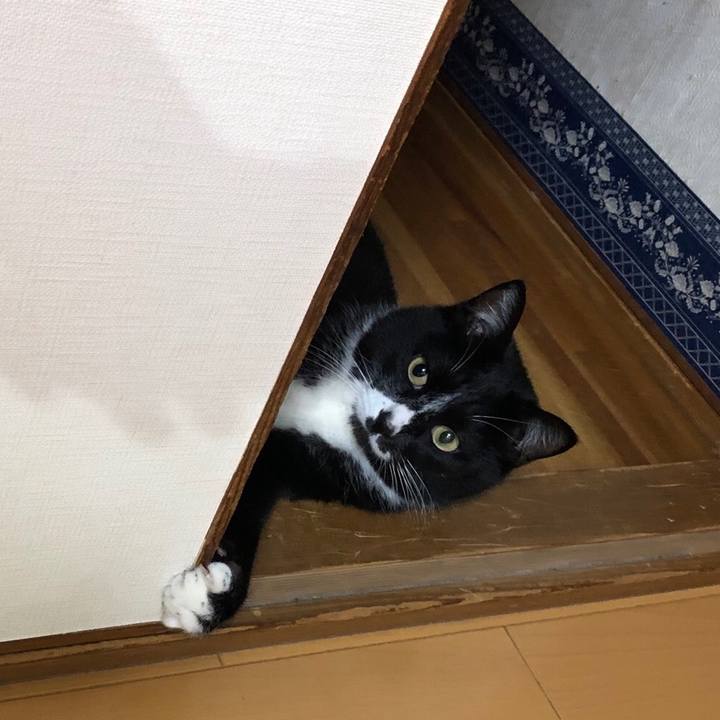 4b8371ab c994 442f 8437 43e8f66e04f9 1557977773457