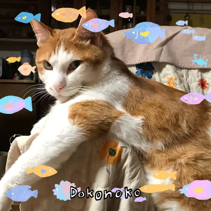 4b83c9a4 e985 4a45 8342 74e96cd25e6e 1755138642545