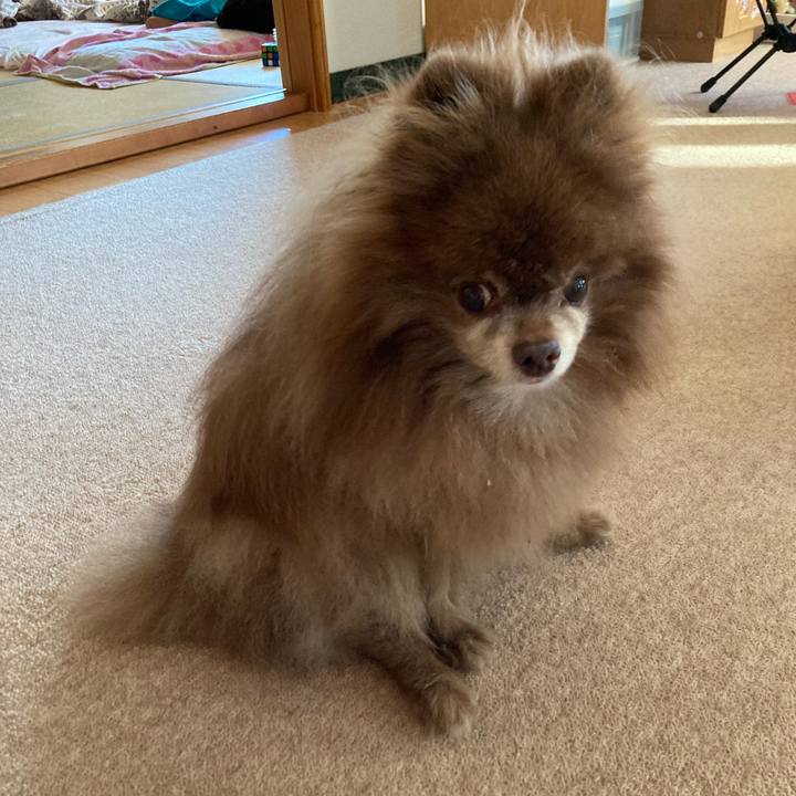 4b83d2a0 97c3 440e 8bb5 86d869791f5b 1726094512936