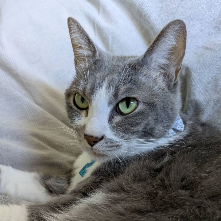 4b83e0c2 a569 437b b85b 68a972416c5c 1761618151499