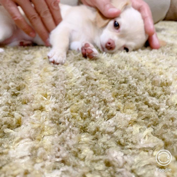 4b83f046 a470 4821 b24e 6361c3f7ec39 1601723357879