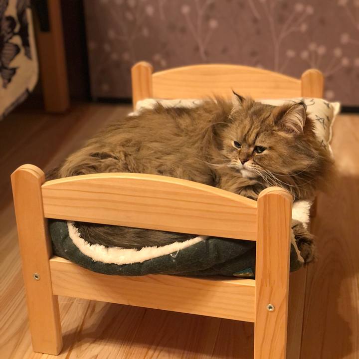 4b83f36b 350d 4889 a43e 4e761cf3f181 1588255776467