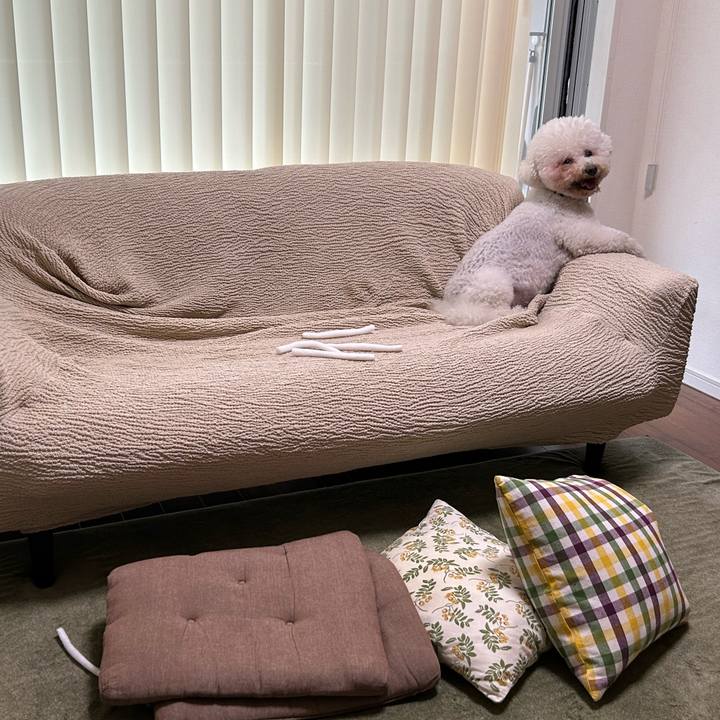 4b83f6e2 0aae 42db bf8c 8b648bb491ec 1760229403539