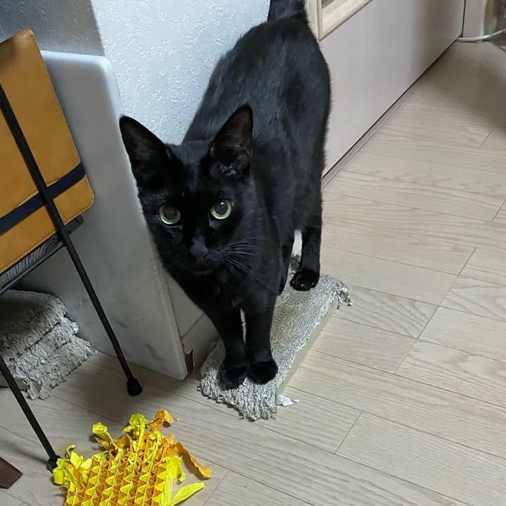 4b843f8b 5eee 4921 8c22 11d874b5f47c 1756482117880