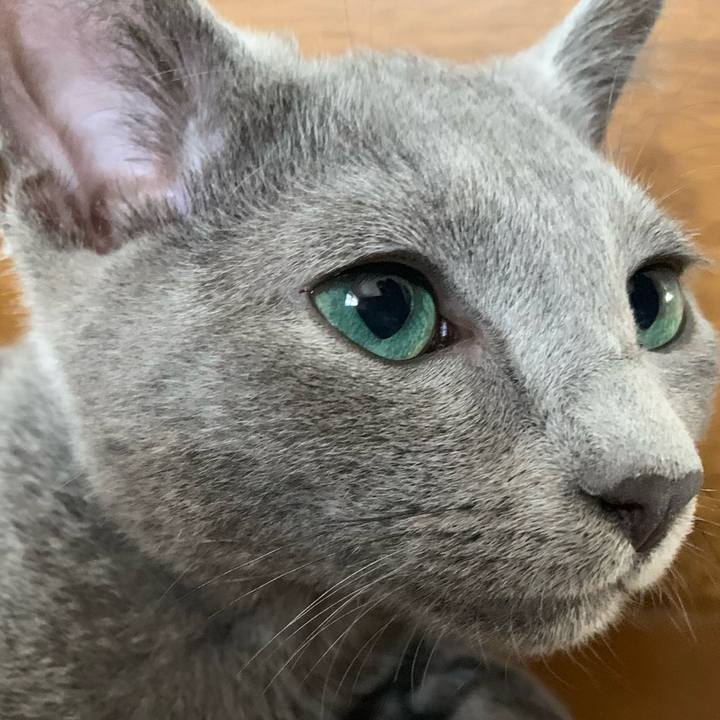 4b846921 775f 4cab 9bcb 341eba83c070 1574994539888