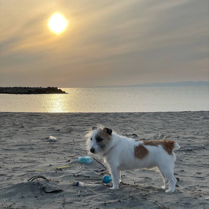 4b84738b 8c1f 4935 b42d 1821f236be2e 1615283498134