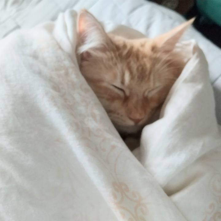 4b84cdda 17ef 474f 9356 6886950f9ed7 1631320506685