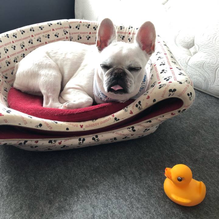 4b8528bc c018 456c aeda 4dfbfcd023e3 1626345686639