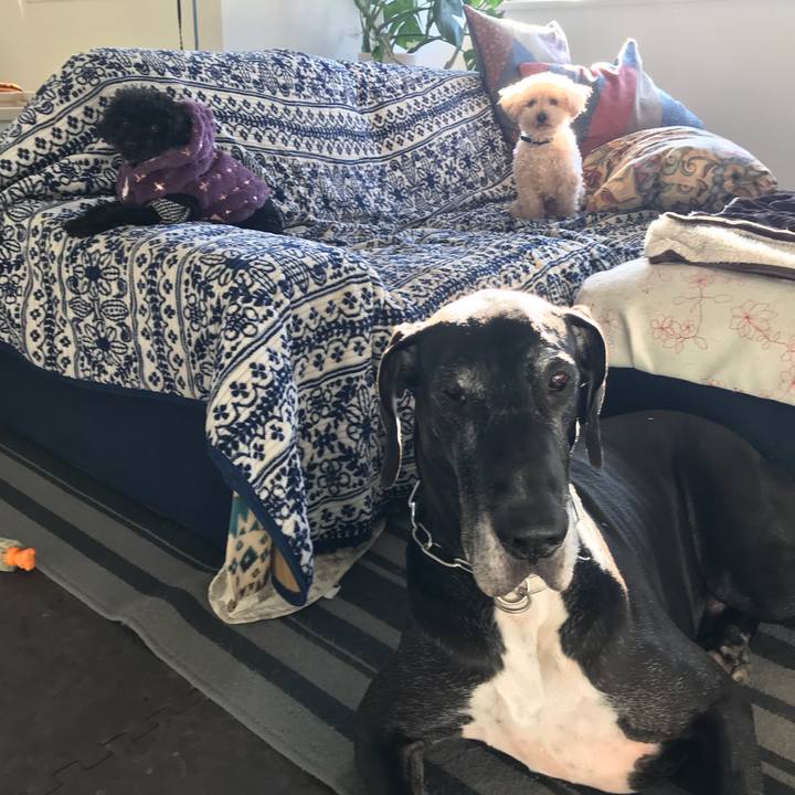 4b8578f5 c5b5 4788 b80d 248d73cbc576 1518476340578