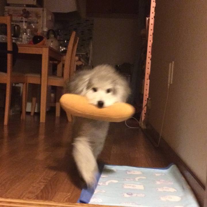 4b85c6f2 1306 4f5e 9e3b cabab4c95b79 1509404080155