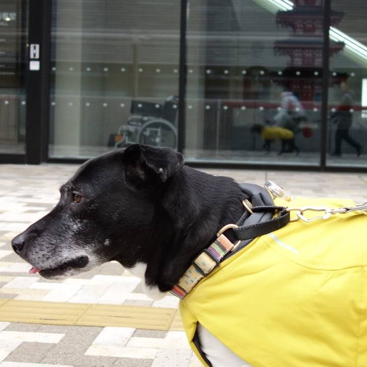 4b8609f9 0dcd 4631 8ccf 67f25d92ca6c 1738542492807