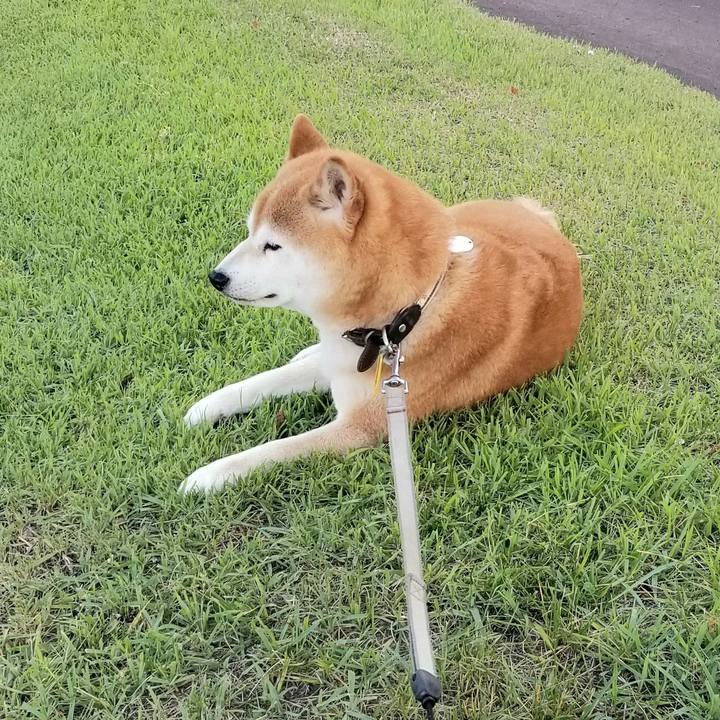 4b861d52 62cb 4f16 b919 da5ff72a5756 1623920609725