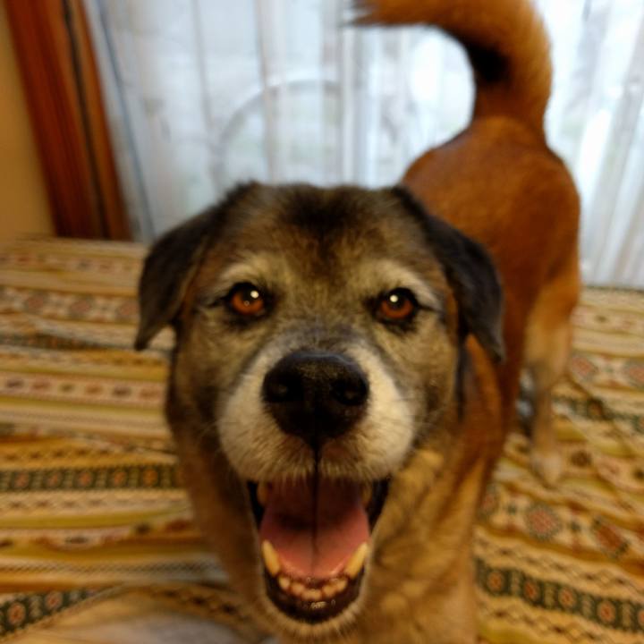 4b864113 5dbc 497b af36 ffcac7a97e06 1530749010872