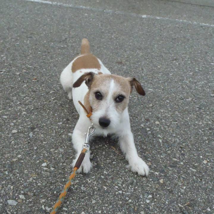 4b865f6f b4fa 4a6e b5d5 07faf3cfa8a7 1538728672852