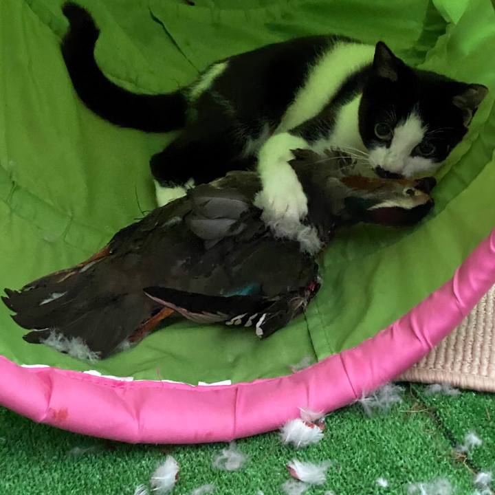 4b869a51 9400 4a52 a9f8 0f637728adb0 1602711140466