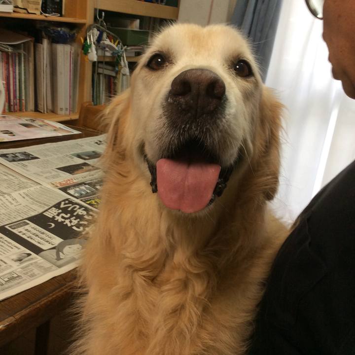 4b86d57c 3d62 48d3 b0ae 227f92cb8f3f 1537082308704