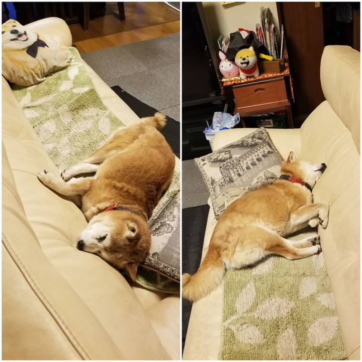 4b86e2b5 4068 46b5 b1aa 82e86de158c0 1770366594678