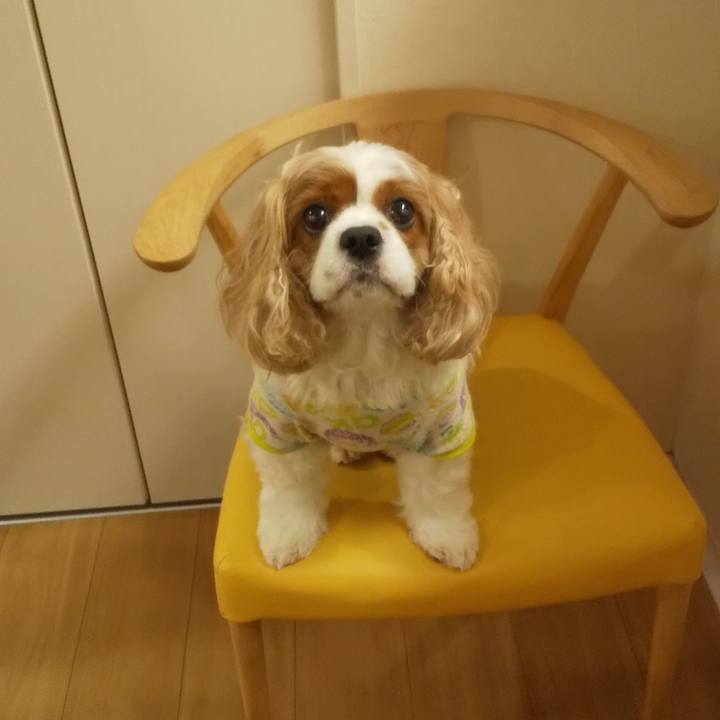 4b86ef07 f992 40b3 b2d4 54318d7c97f6 1655725785197