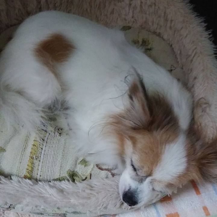 4b8709b8 8297 4306 ba22 c491a76b2dd7 1538139504033