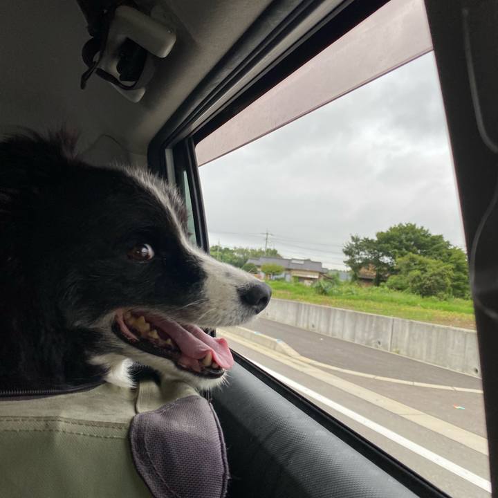 4b870f92 3739 4def b4c9 6c70601f26eb 1660944957769