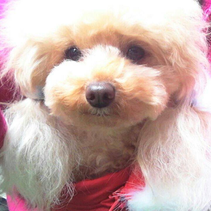 4b8763c2 866e 4a25 890e 0c86748d31c9 1543575972877