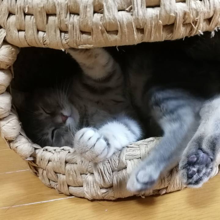 4b87739c eb3a 460a a8d4 83e3eec228af 1530842926190