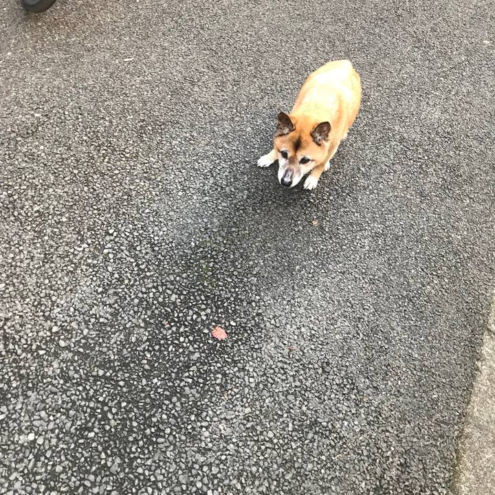 4b879370 140a 447a a13b 75cf56e9966e 1553094420861