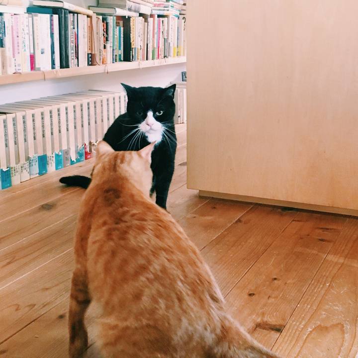 4b87c275 f219 4b38 a202 c9e870fc21b8 1567908443715