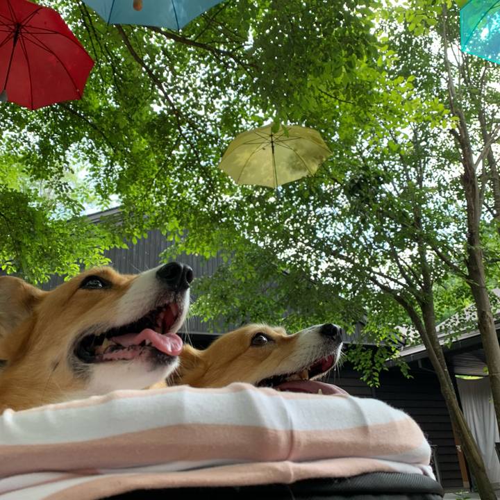 4b87cf36 a639 4bfc 95bb c6437cd7cf0f 1655612996178