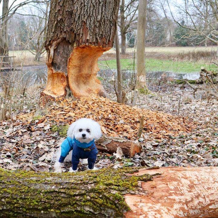 4b8823d5 974b 48a7 9271 d679acc95ffe 1769433861314