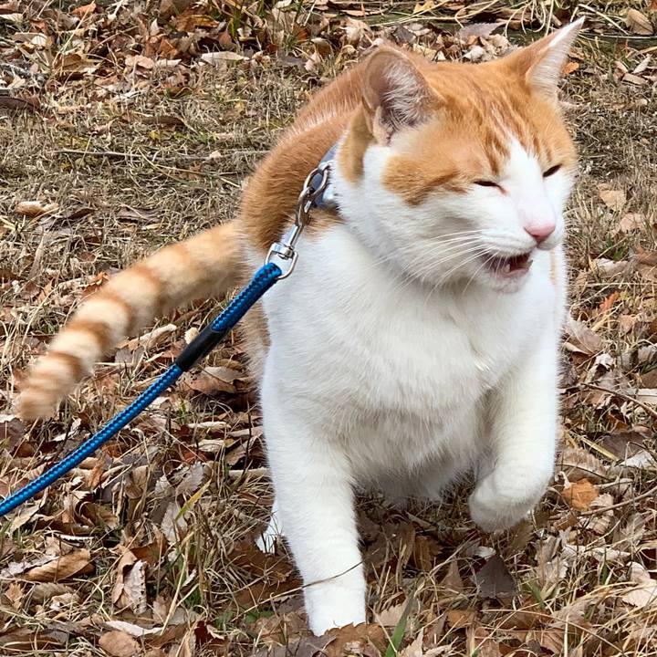 4b883ca0 37b6 433d bc68 cdd9e0b3dd6e 1579845003608