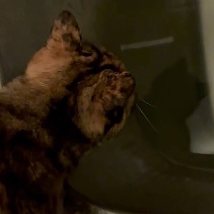 4b8888c0 3121 4d6d 922b bb8ef8eaf814 1761510867334