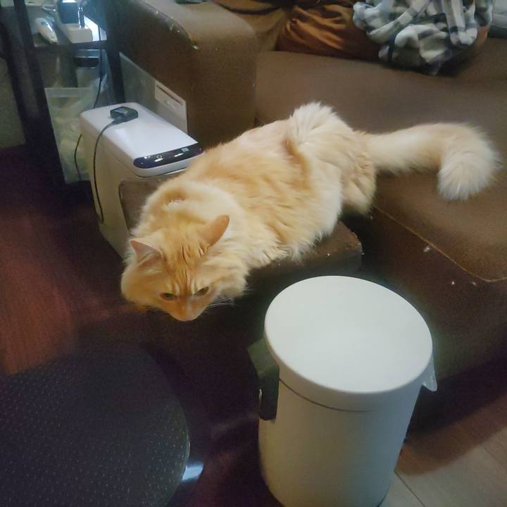 4b88ce6b b930 41b3 aa14 9690c21b07fb 1689717101560