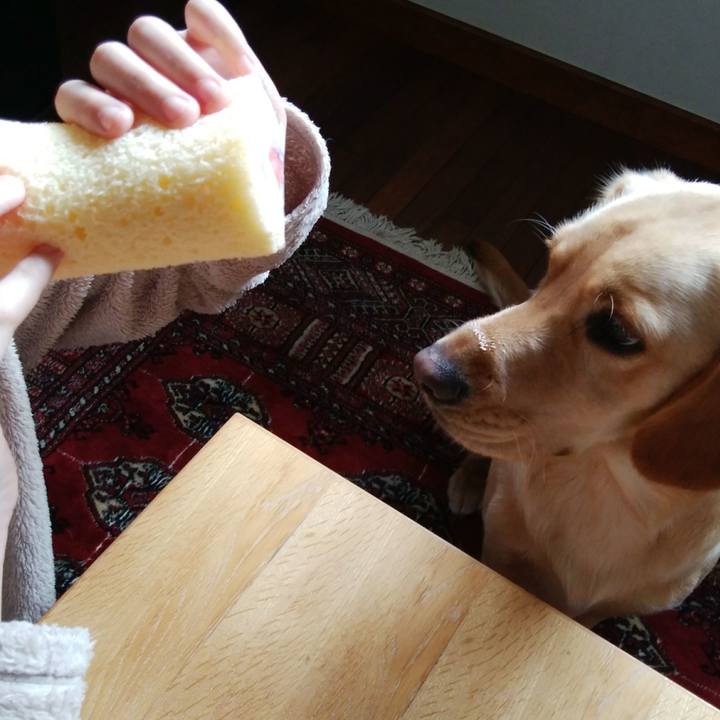 4b891dbd 20f4 4209 8c05 24be45d3a235 1517547214820