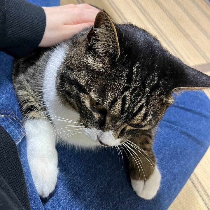 4b893c71 0f43 4db4 a60f 97b19708fc18 1776901766334