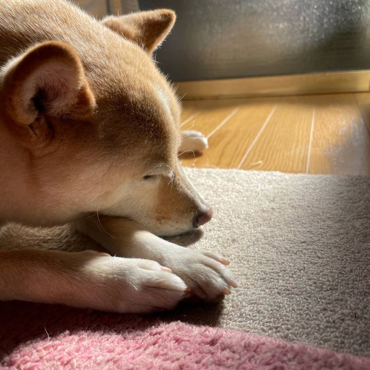 4b8942e2 9e8d 492b 8950 71e20eeb5e2b 1670117634435