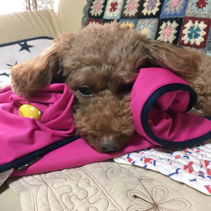 4b895bed 3950 491d 9c2c 2d05a39a6e37 1509422926358