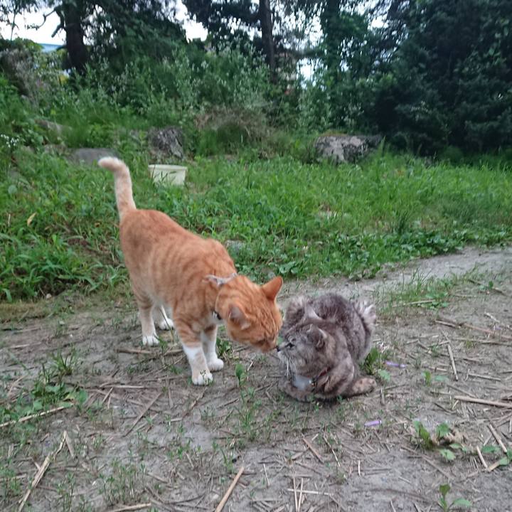 4b897170 c36e 4c92 9ccb a2d98161a430 1596795522924