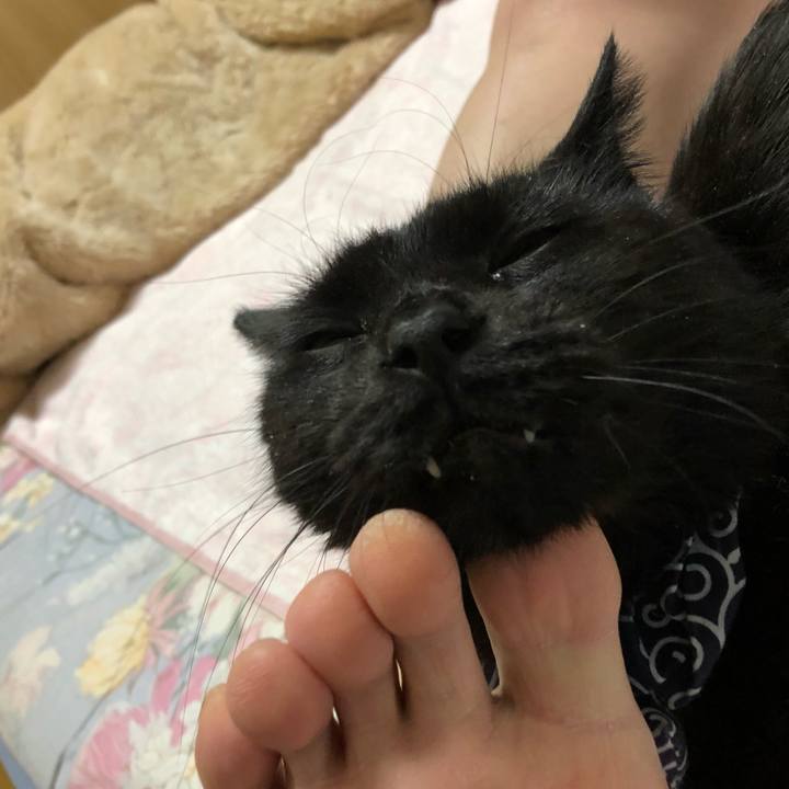 4b89d3cd 3808 435c 8036 b8f71a4dfe2c 1579903263482