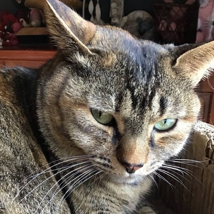 4b8a355c ad81 4460 9199 da196eb2eac0 1742442686300