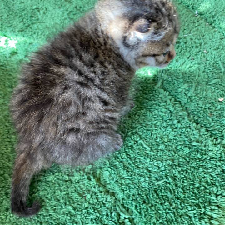 4b8a5d13 a098 46ed bc75 983595cc6ca1 1636002530542