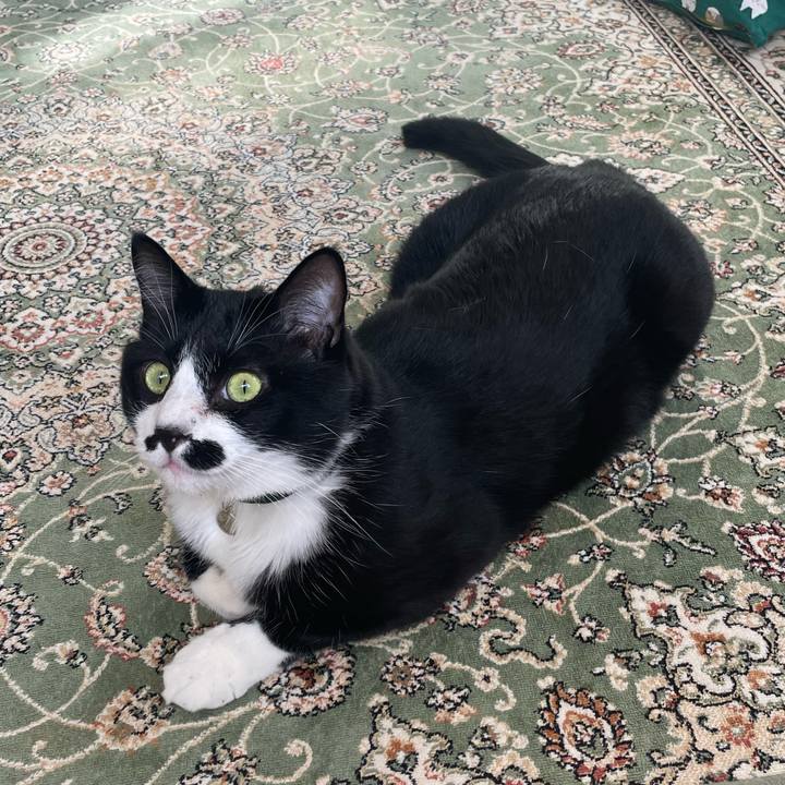 4b8aa7c1 471e 4af9 a1c4 f6eb7b7ac161 1716588217976