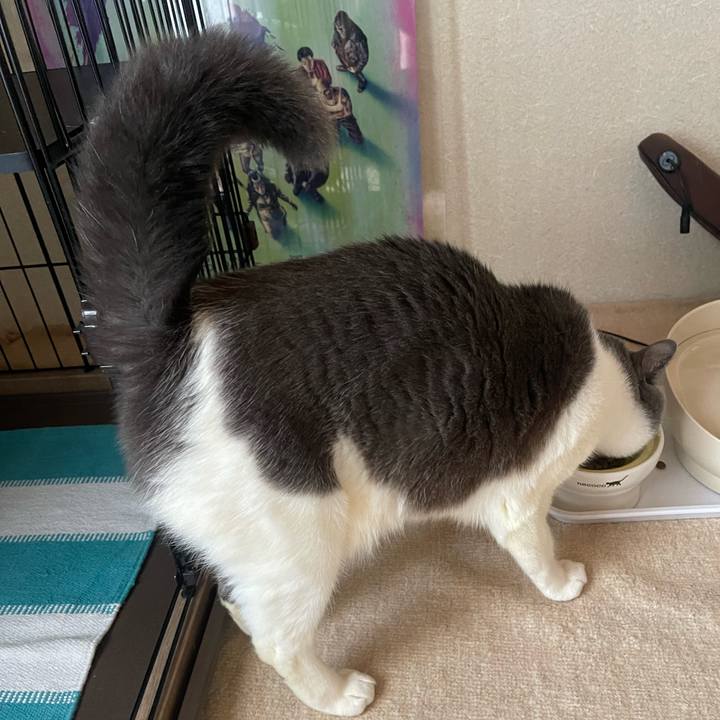 4b8aab2d d062 4f30 a636 98ed988a6624 1712735360085