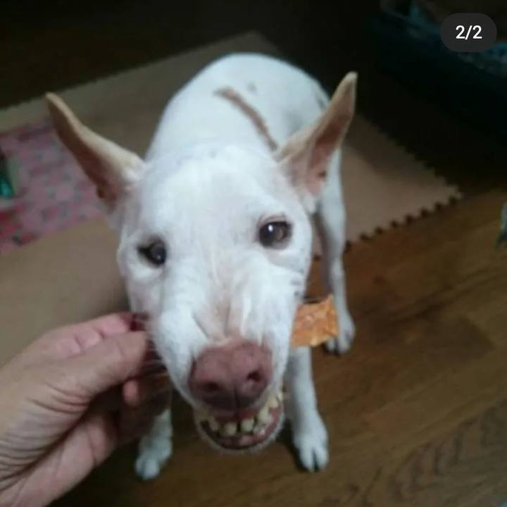 4b8ad851 092c 4037 90ec 829a25a8f5d9 1637254971603