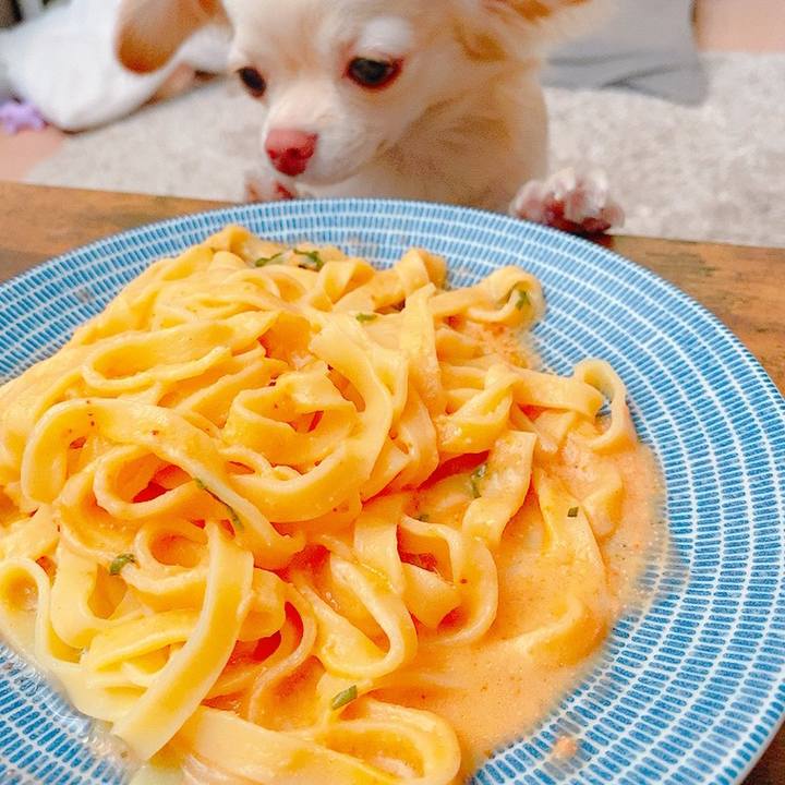 4b8b08a0 ed58 4736 91b9 4aa8bfc44b81 1634210323073