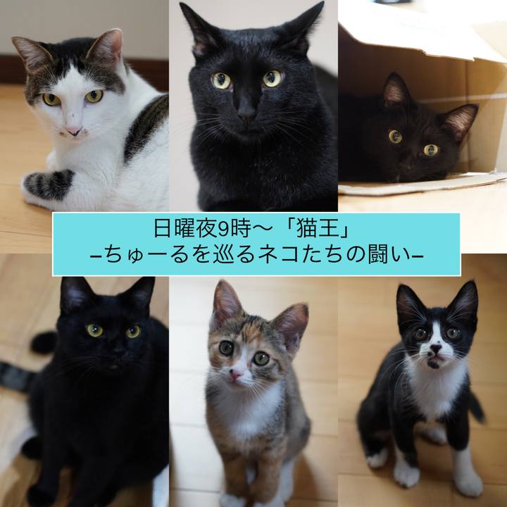 4b8badc2 8aba 4c6f 8589 e33391f8ce1d 1568882877687