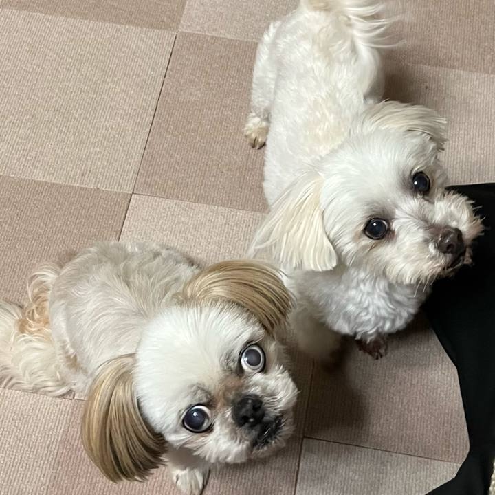 4b8bb4ad 9f59 4133 92ad ca8fe96e1b4b 1650539953294